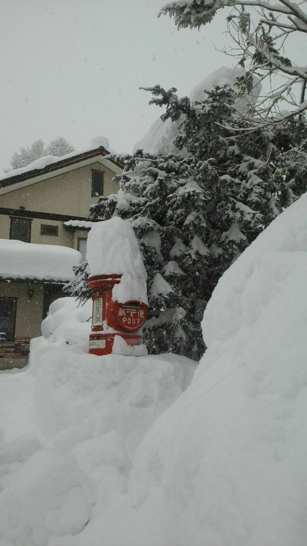 Sakka Sanso Villa Хакуба Екстериор снимка